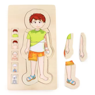 Small Foot - Fa puzzle - Anatómia - Tim - JátékManufaktúra