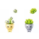 Sluban Flowers M38-B1076 Pozsgások cserépben display, 6 db - JátékManufaktúra