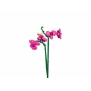 Sluban Flowers M38-B1101-12 Orchidea vázában - JátékManufaktúra