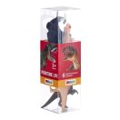 Mojo - Mini világ: Őskori állatok szett (6 db, vegyes) - JátékManufaktúra