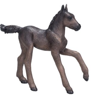 Mojo - Fekete arab csikó - JátékManufaktúra