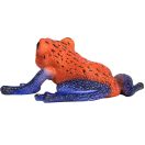 Mojo - Apró nyílméregbéka - JátékManufaktúra