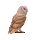 Mojo - Erdei fülesbagoly - JátékManufaktúra