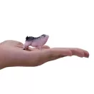 Mojo - Vietnámi csüngőhasú kismalac - JátékManufaktúra