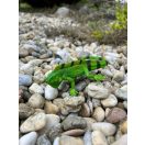 Mojo - Leguán - JátékManufaktúra