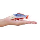 Mojo - Asagi koi ponty - JátékManufaktúra