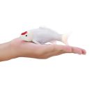 Mojo - Koi ponty (Tancho) - JátékManufaktúra