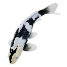 Mojo - Shiro utsuri koi ponty - JátékManufaktúra