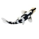 Mojo - Shiro utsuri koi ponty - JátékManufaktúra