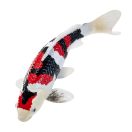 Mojo - Showa sanshoku koi ponty - JátékManufaktúra