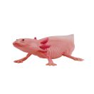 Mojo - Axolotl - JátékManufaktúra