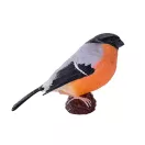 Mojo - Süvöltő - JátékManufaktúra