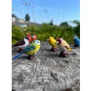 Mojo - Süvöltő - JátékManufaktúra