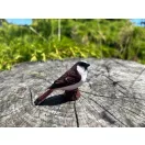 Mojo - Mezei veréb - JátékManufaktúra