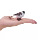 Mojo - Mezei veréb - JátékManufaktúra