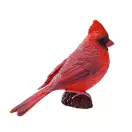 Mojo - Vörös kardinál - JátékManufaktúra