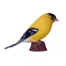 Mojo - Amerikai tengelic (díszdobozban) - JátékManufaktúra