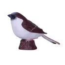 Mojo - Házi veréb (díszdobozban) - JátékManufaktúra