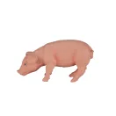 Mojo - Evő disznó - JátékManufaktúra