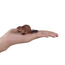 Mojo - Hód - JátékManufaktúra