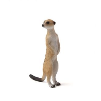 Mojo - Szurikáta - JátékManufaktúra