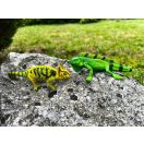 Mojo - Kaméleon - JátékManufaktúra