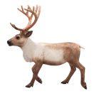 Mojo - Rénszarvas - JátékManufaktúra