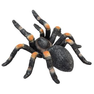 Mojo - Brachypelma tarantula - JátékManufaktúra
