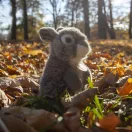 Rappa Plüss szürke nyuszi ülő 20 cm ECO-FRIENDLY - JátékManufaktúra