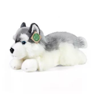 Rappa - Plüss husky kutya, fekvő 30 cm - JátékManufaktúra