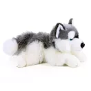 Rappa - Plüss husky kutya, fekvő 30 cm - JátékManufaktúra