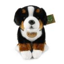 Rappa Plüss ülő bernáthegyi 25 cm ECO-FRIENDLY - JátékManufaktúra