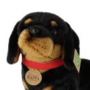 Rappa Plüss tacskó 30 cm ECO-FRIENDLY - JátékManufaktúra