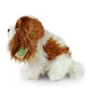 Rappa Plüss King Charles spániel 25 cm - JátékManufaktúra