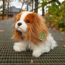 Rappa Plüss King Charles spániel 25 cm - JátékManufaktúra