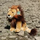 Rappa Plüss ülő oroszlán 25 cm ECO-FRIENDLY - JátékManufaktúra