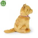 Rappa Plüss barna cica 25 cm ECO-FRIENDLY - JátékManufaktúra