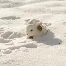 Rappa Plüss fehér nyuszi 18 cm ECO-FRIENDLY - JátékManufaktúra