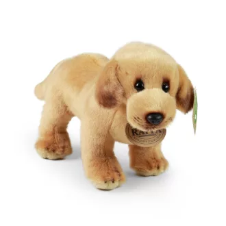 Rappa Plüss álló labrador 20 cm ECO-FRIENDLY - JátékManufaktúra