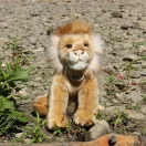 Rappa Plüss oroszlán 30 cm ECO-FRIENDLY - JátékManufaktúra