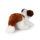 Rappa Plüss shih-tzu 45 cm ECO-FRIENDLY - JátékManufaktúra