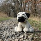 Rappa Plüss mopsz 30 cm ECO-FRIENDLY - JátékManufaktúra