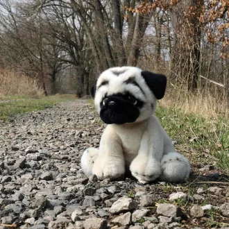 Rappa Plüss mopsz 30 cm ECO-FRIENDLY - JátékManufaktúra