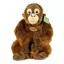 Rappa Plüss orangután 27 cm ECO-FRIENDLY - JátékManufaktúra