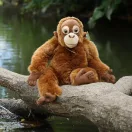 Rappa Plüss orangután 27 cm ECO-FRIENDLY - JátékManufaktúra