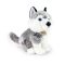 Rappa Plüss ülő husky 30 cm ECO-FRIENDLY - JátékManufaktúra