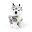 Rappa Plüss ülő husky 30 cm ECO-FRIENDLY - JátékManufaktúra