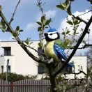 Rappa - Plüss széncinege 12 cm, ECO-FRIENDLY - JátékManufaktúra