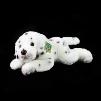 Rappa Plüss dalmata 30 cm ECO-FRIENDLY - JátékManufaktúra