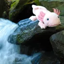 Rappa Plüss axolotl 33 cm ECO-FRIENDLY - JátékManufaktúra